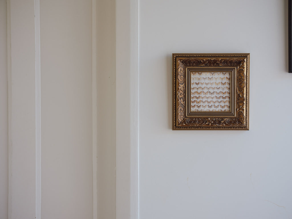 Framed Vintage Natural History Print: Moths (Ornate Silver & Gold Frame)